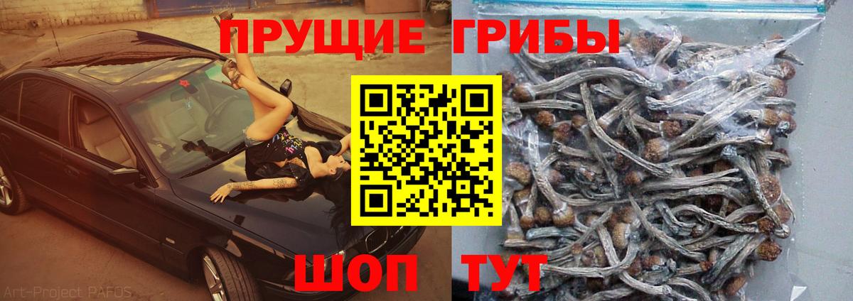Галлюциногенные грибы мицелий Зеленодольск